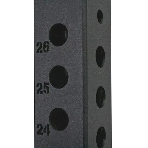 1RM Double Wall Mounted Rig High Low