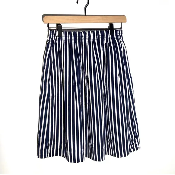 4 J. Crew Merchandile Navy Striped Pleated Skirt