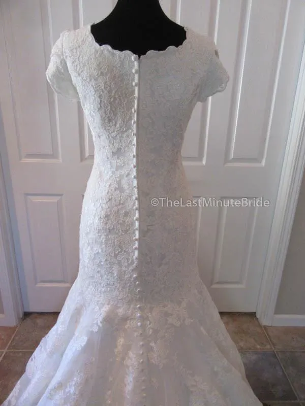 Allure Bridals M540