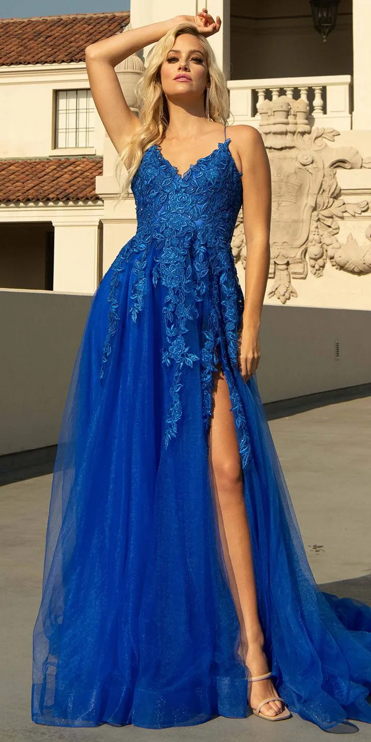 Amelia Couture BZ014 Long Mesh A-Line Embroidered Bodice Slit Dress