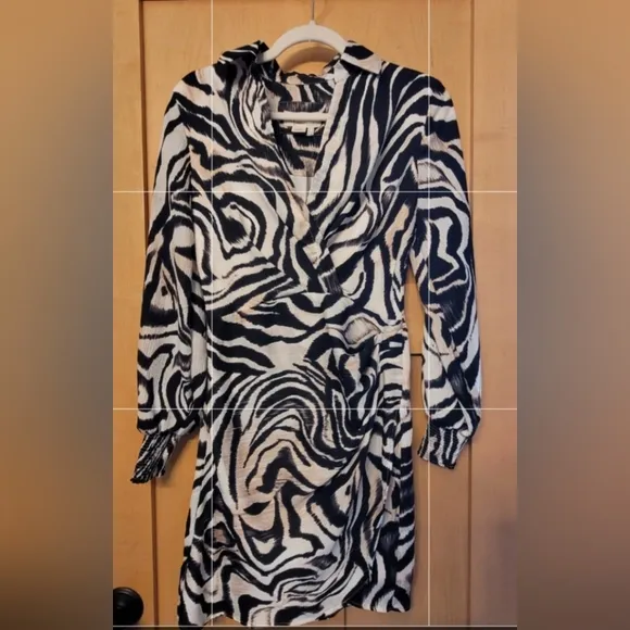 Anthropologie Zebra Print Dress