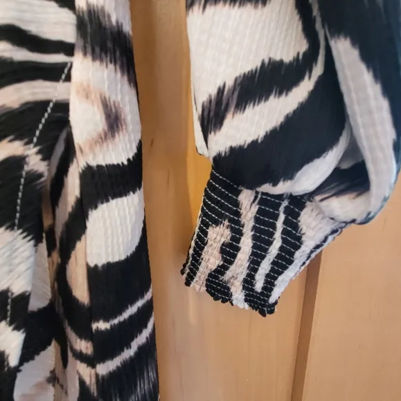Anthropologie Zebra Print Dress