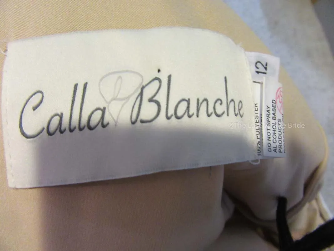 Calla Blanche Dawn 19129