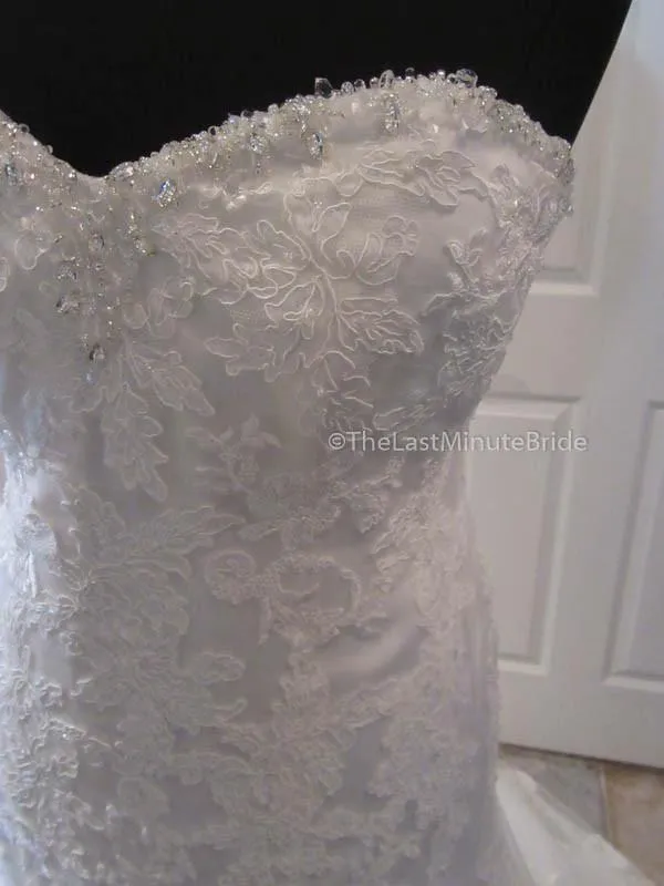 Cara Mia 29250