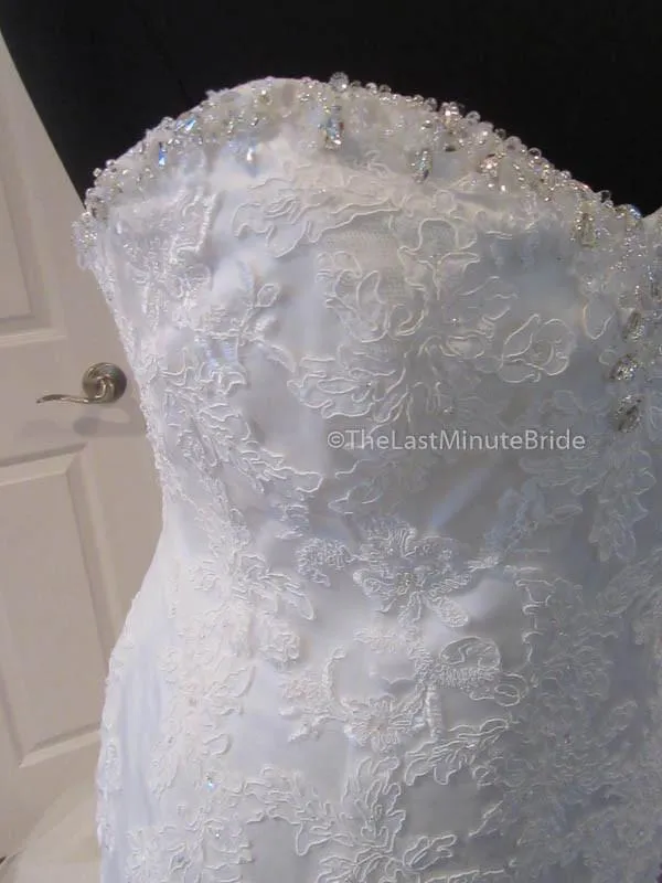 Cara Mia 29250