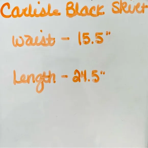 Carlisle Classic Black Front Pleated Fit &amp; Flare Style Lined Skirt Size 10