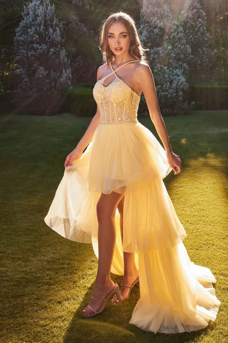 CD A1239 - High Low A-Line Prom Gown with Sheer Beaded Lace Halter Bodice & Layered Pleated Tulle Skirt