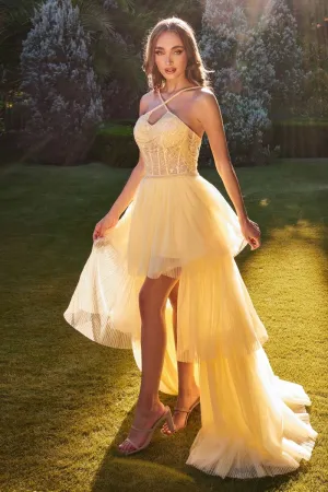 CD A1239 - High Low A-Line Prom Gown with Sheer Beaded Lace Halter Bodice & Layered Pleated Tulle Skirt