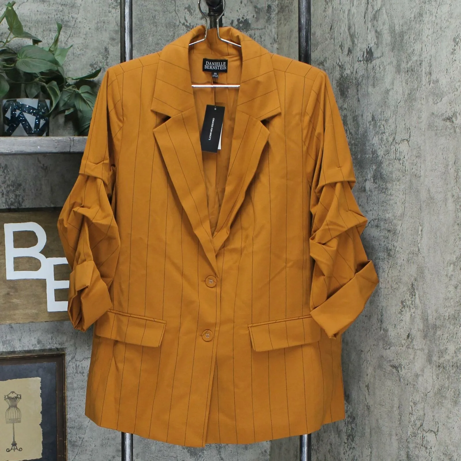 Danielle Bernstein Plus Size Pinstripe Blazer With Ruched Sleeves