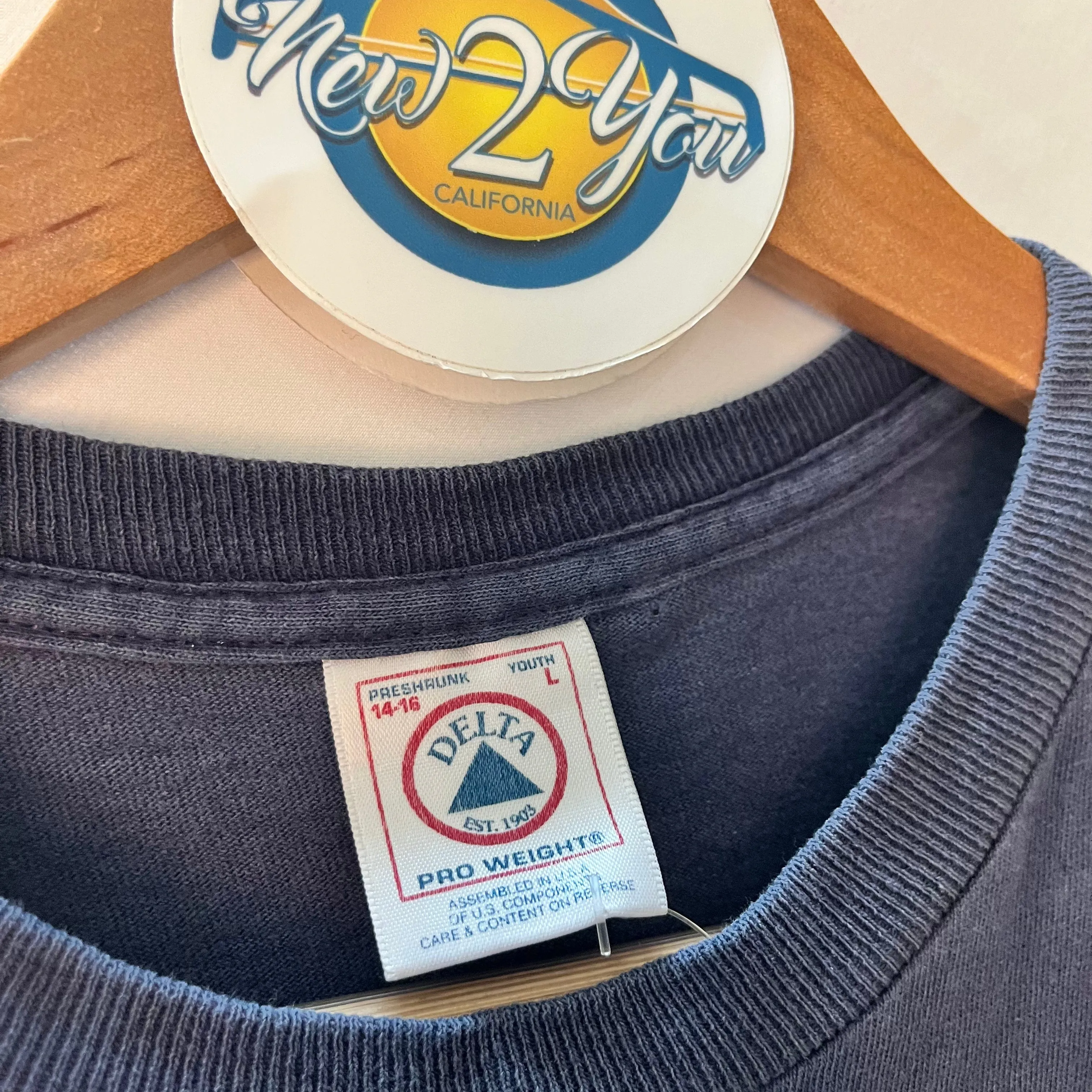 Delta Pro Weight Pokemon Vintage Tee