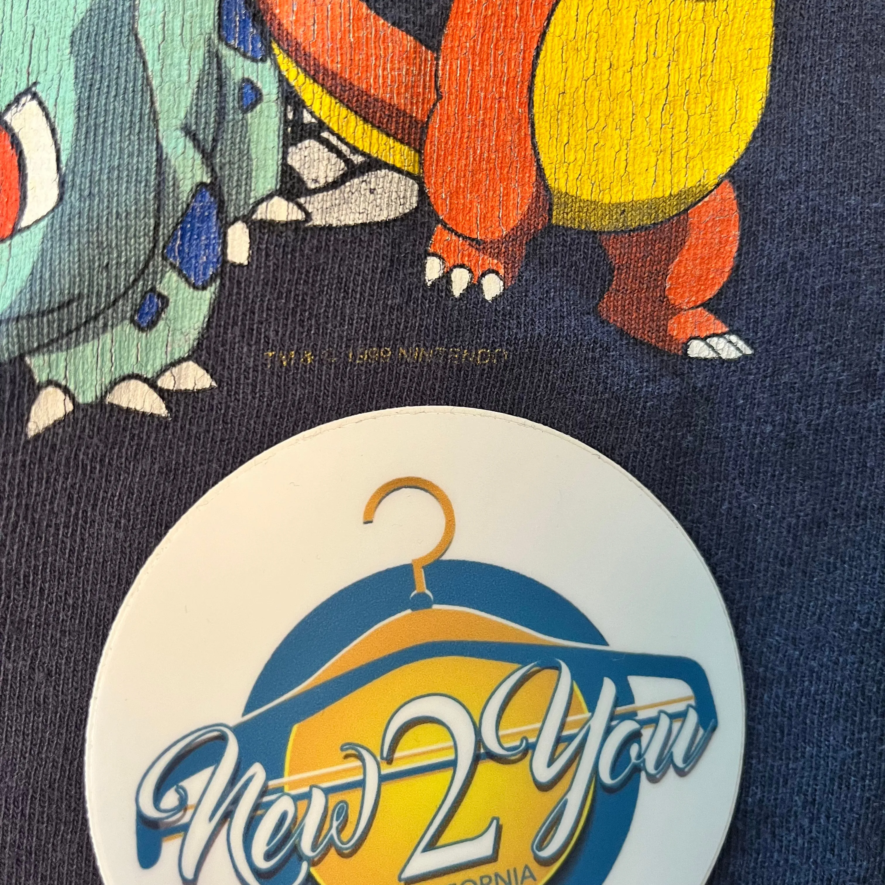 Delta Pro Weight Pokemon Vintage Tee