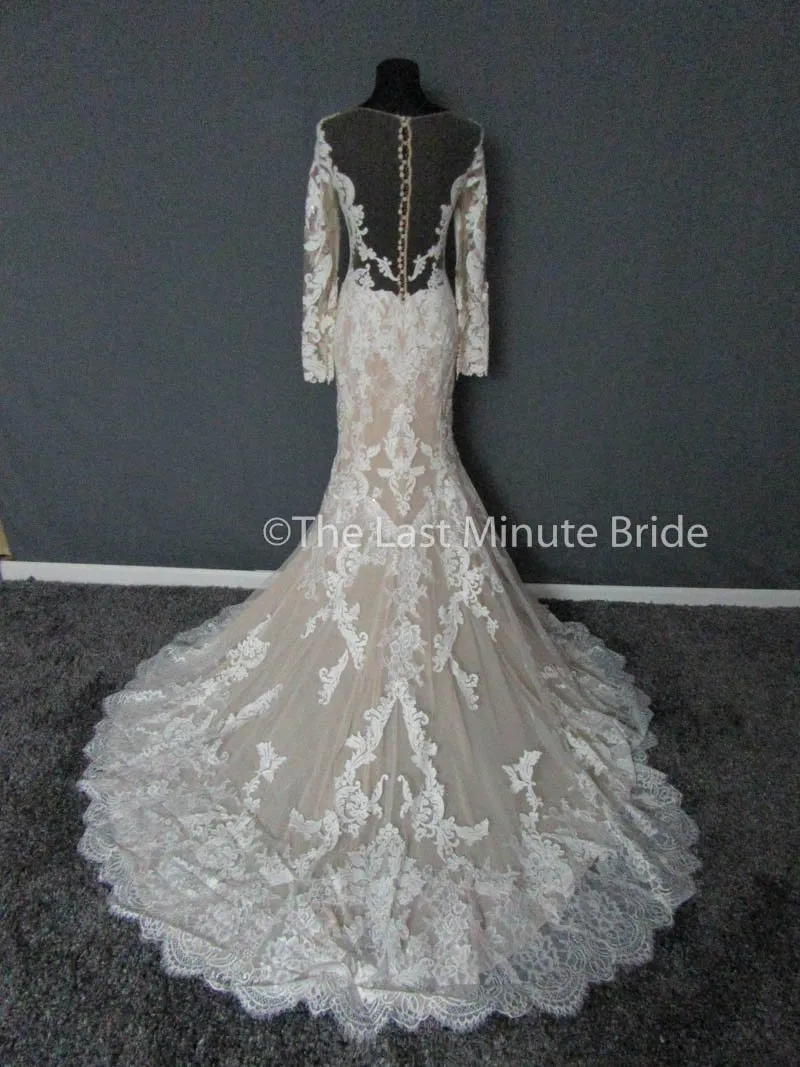 Demetrios 717