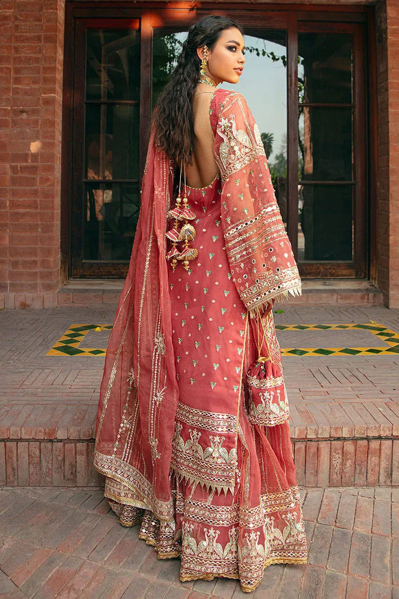 Embroidered Organza Sharara Kameez Pakistani Eid Dress