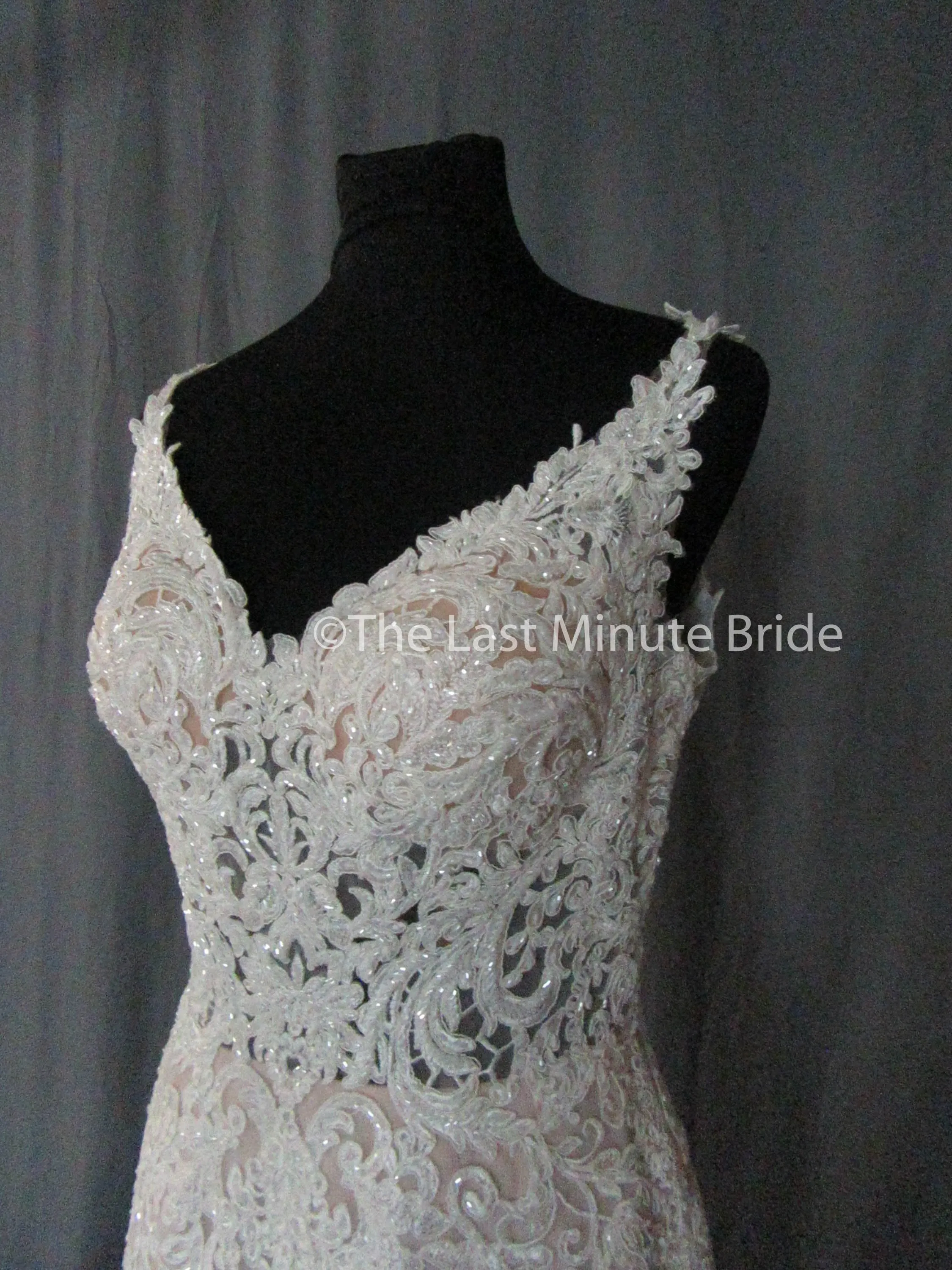 Essense of Australia Style D2281