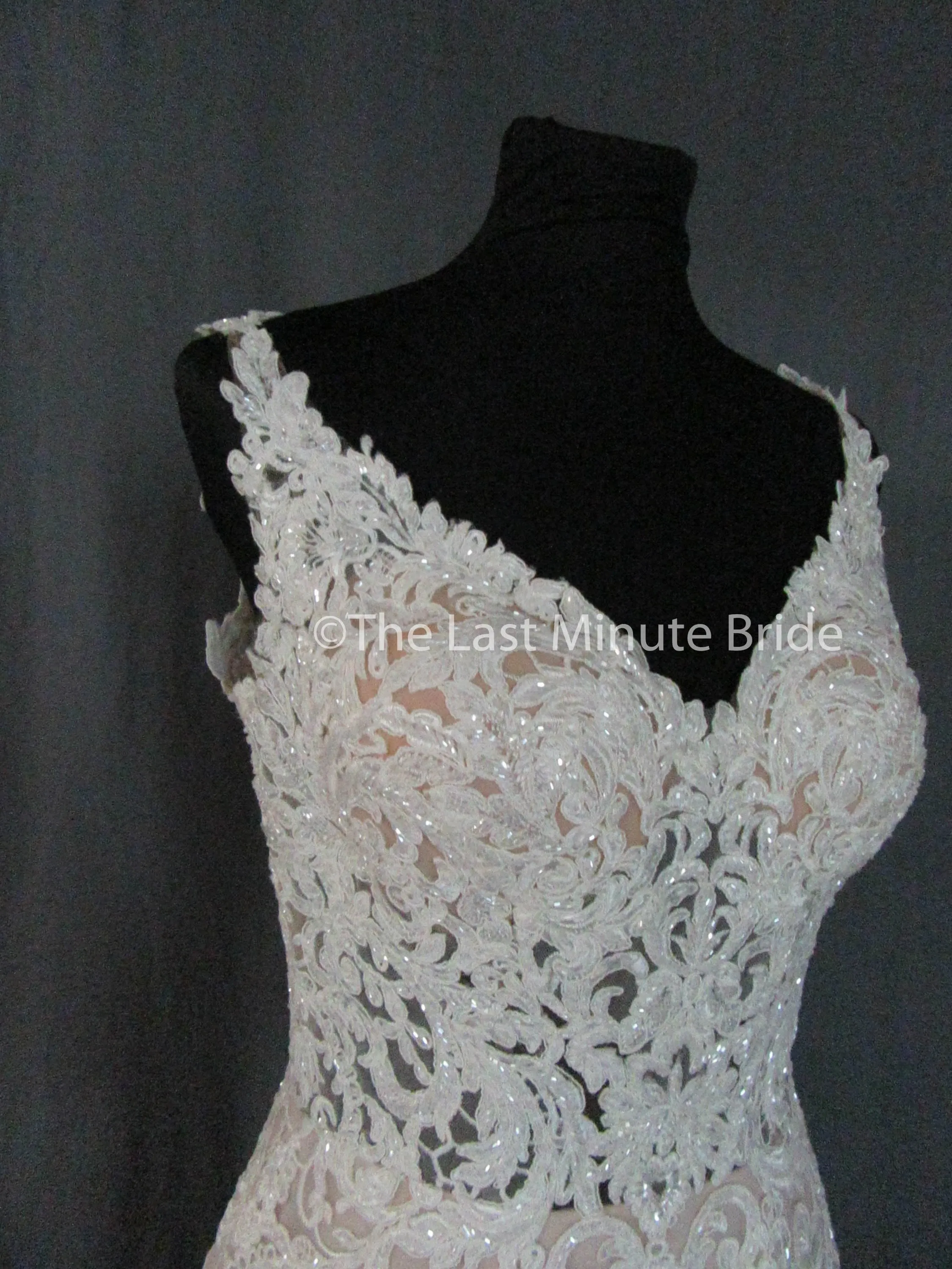 Essense of Australia Style D2281