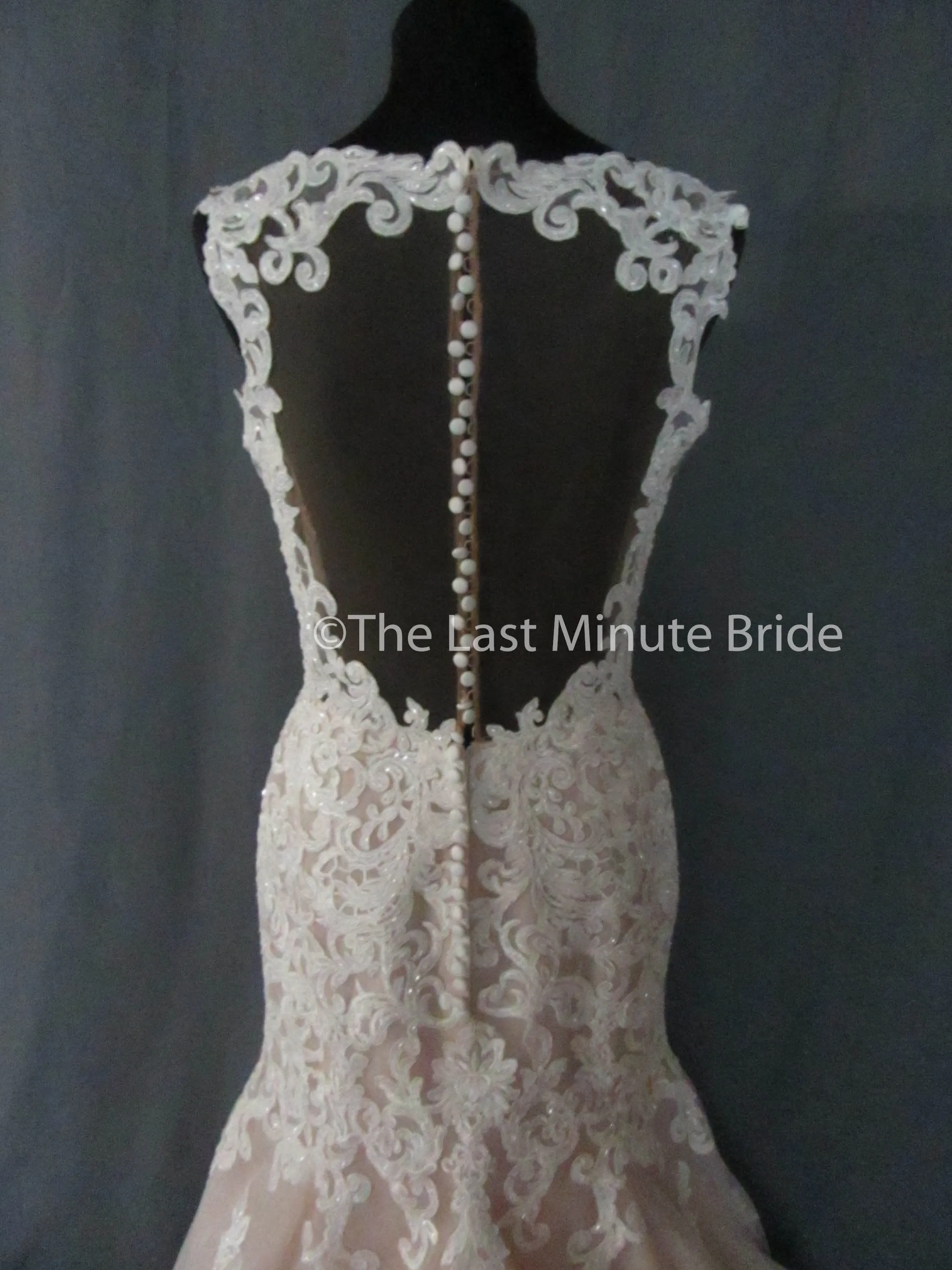 Essense of Australia Style D2281