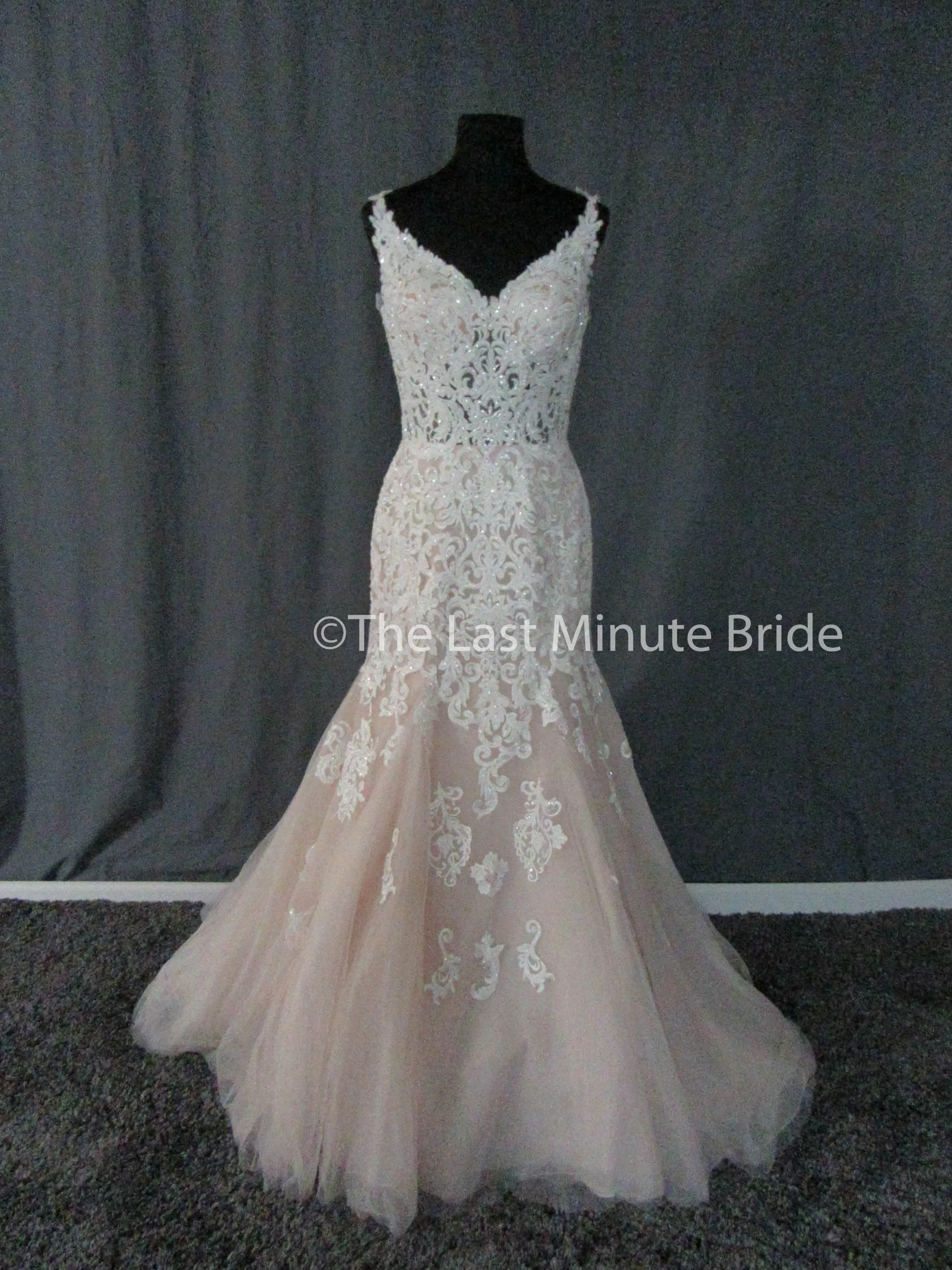 Essense of Australia Style D2281