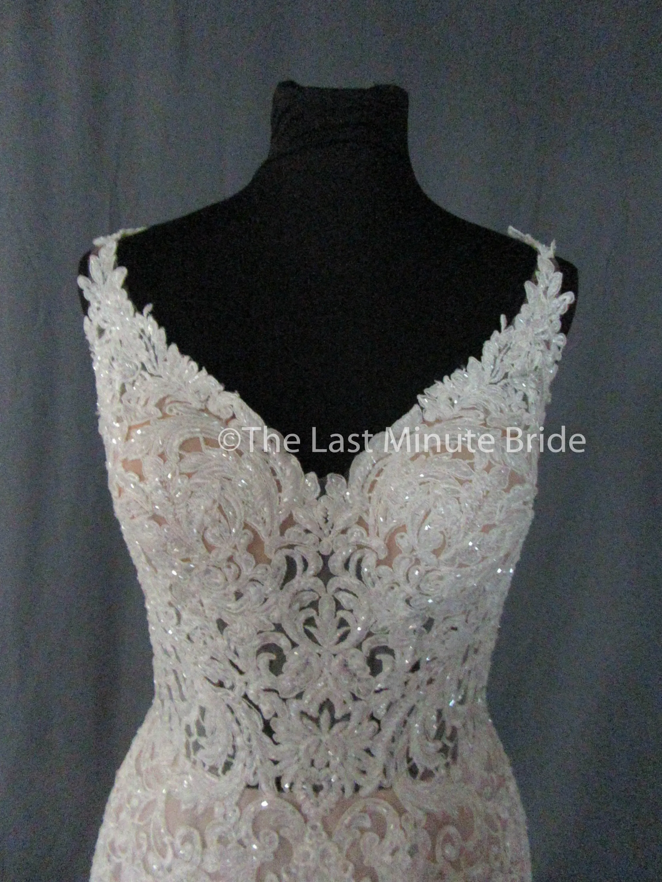 Essense of Australia Style D2281