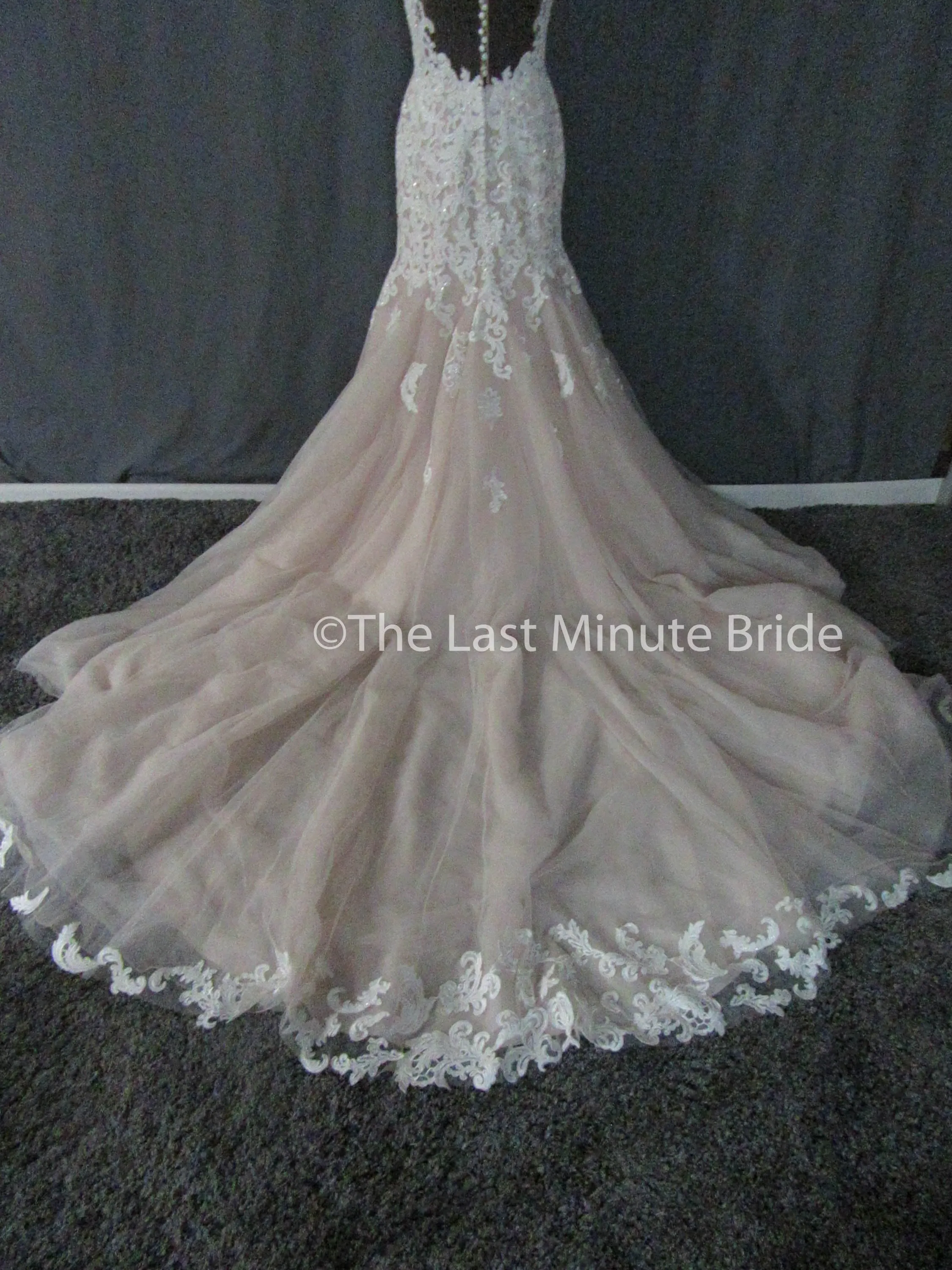 Essense of Australia Style D2281