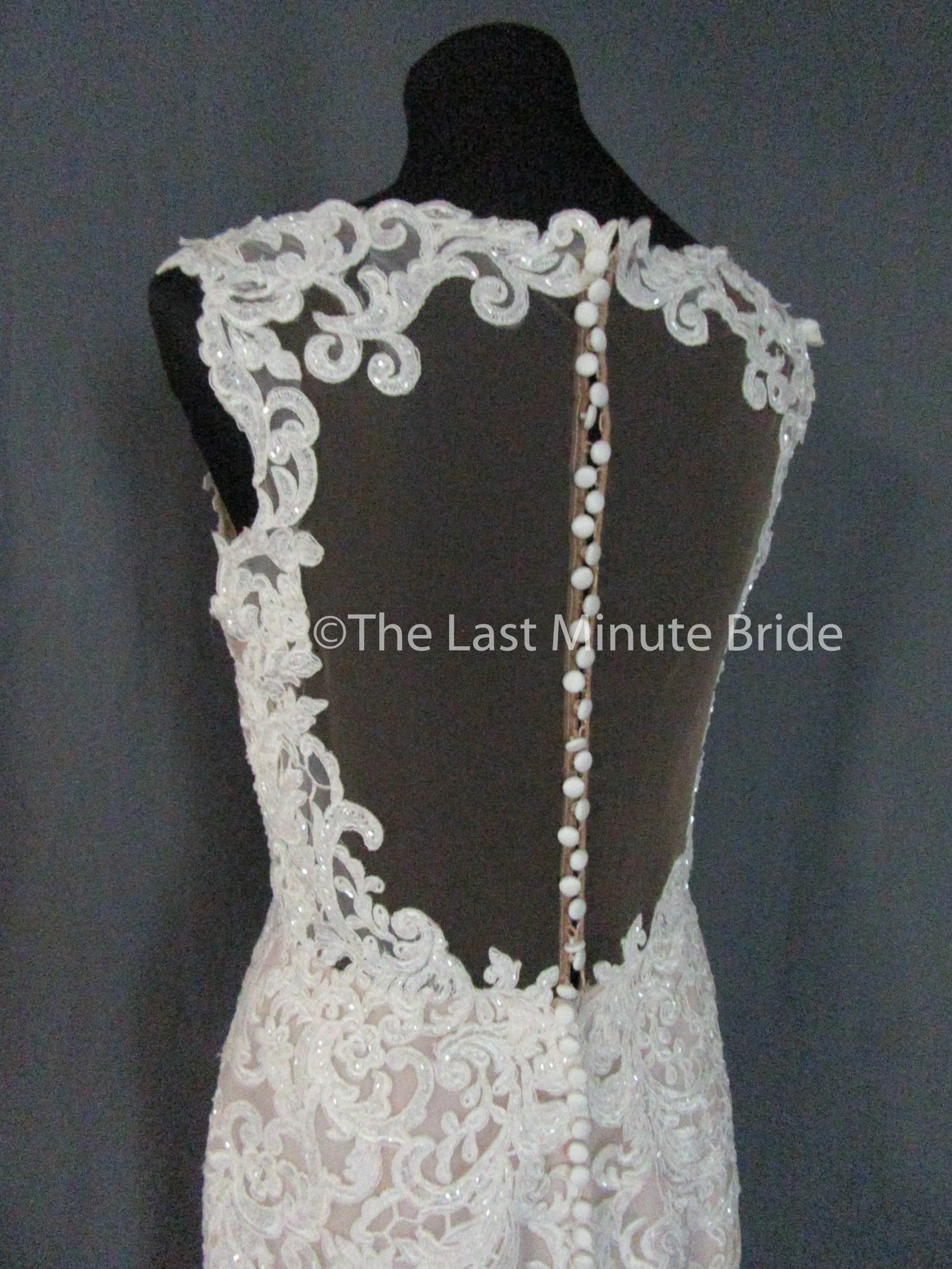 Essense of Australia Style D2281