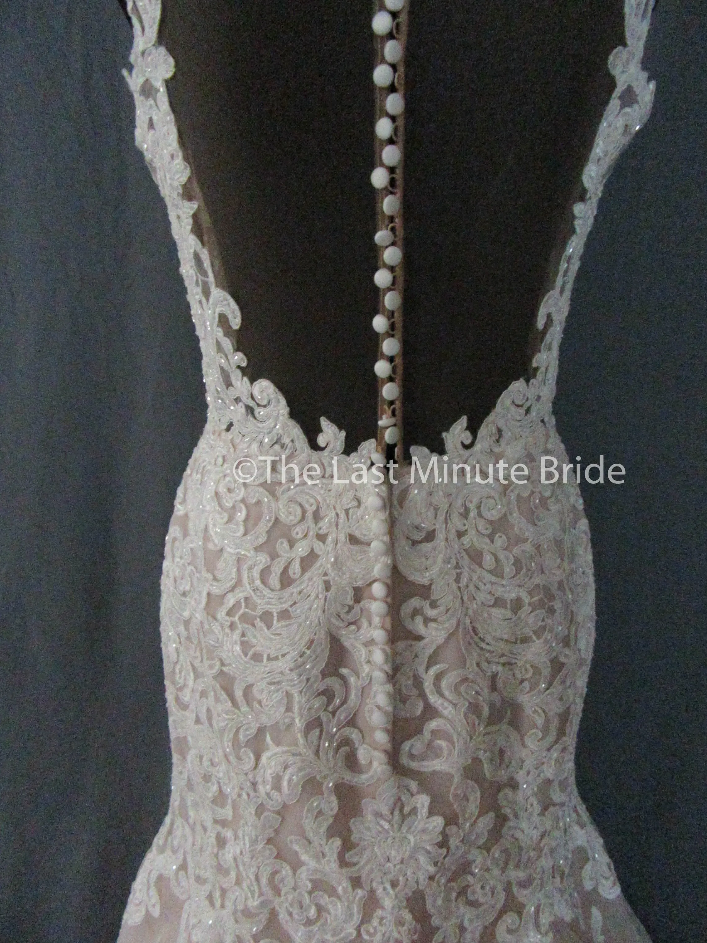 Essense of Australia Style D2281