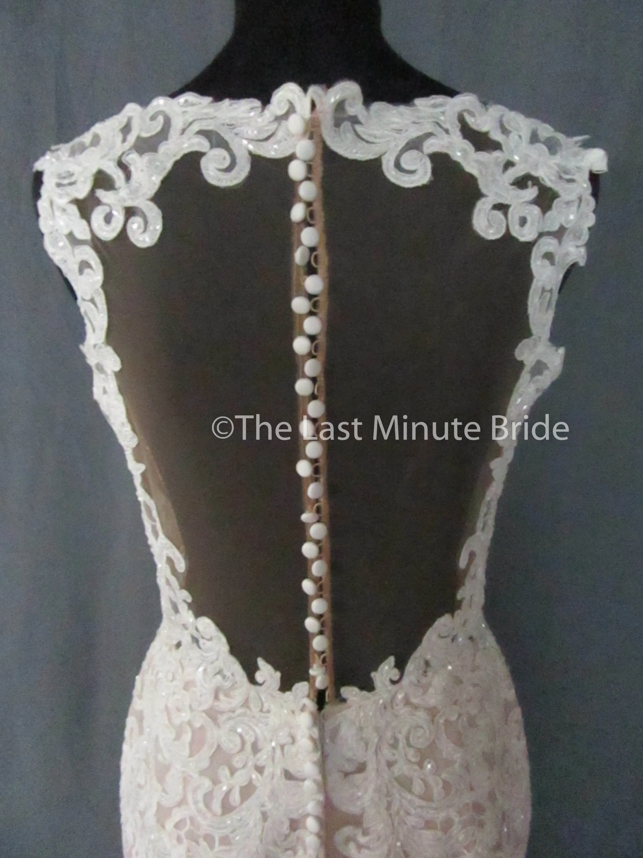 Essense of Australia Style D2281