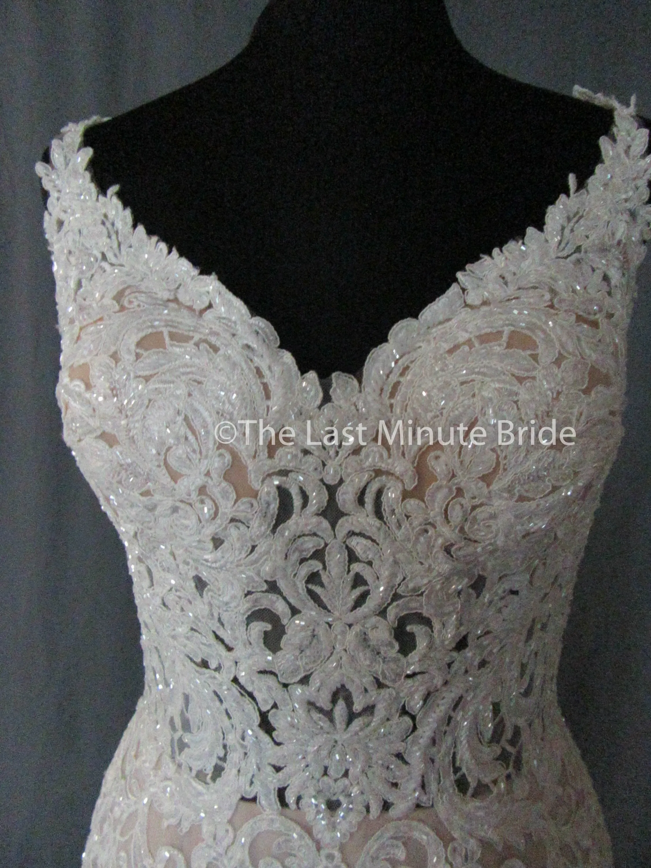 Essense of Australia Style D2281