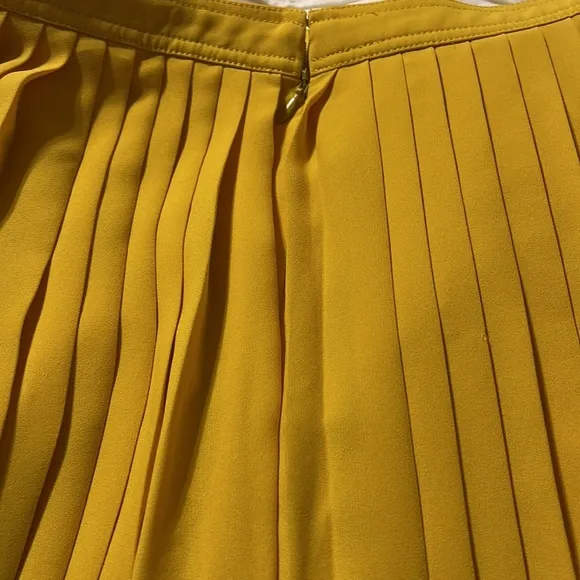 EUC J Crew Pleated Colorblock Midi‎ Skirt Size 6