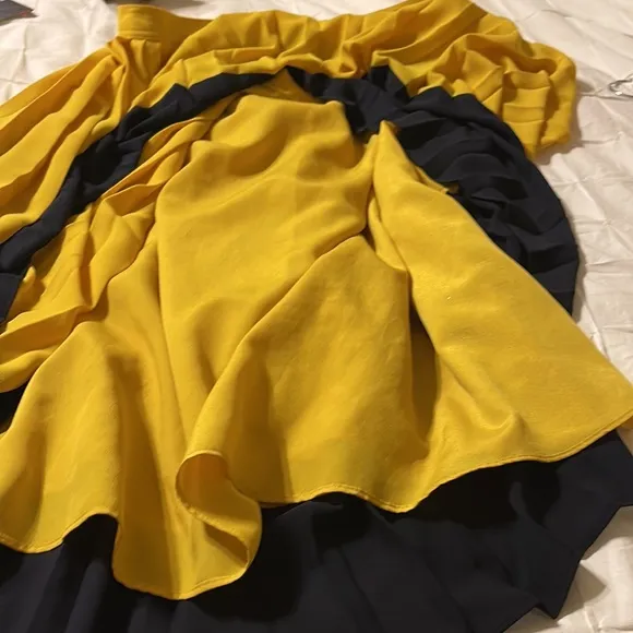 EUC J Crew Pleated Colorblock Midi‎ Skirt Size 6
