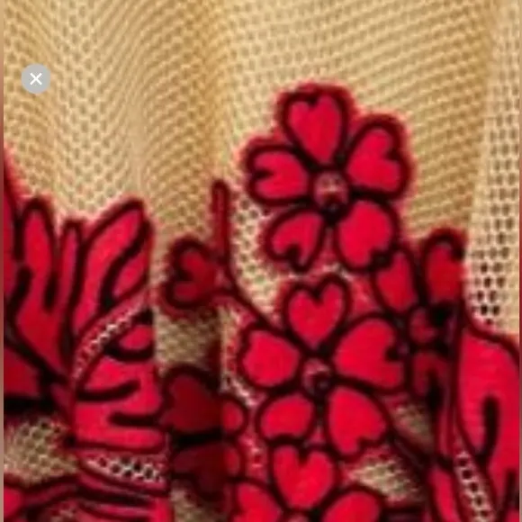 Eva Franco Anthropologie Netted Floral A line Midi Skirt with Floral Embroidery