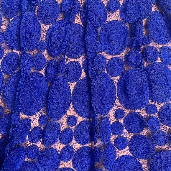 Eva Franco Blue Albastru Lace Circle Knee Length A-line Skirt