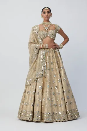 Golden Shimmer Organza Flower Lehenga Set