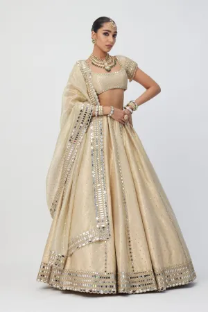 Golden Shimmer Organza Linear Lehenga Set