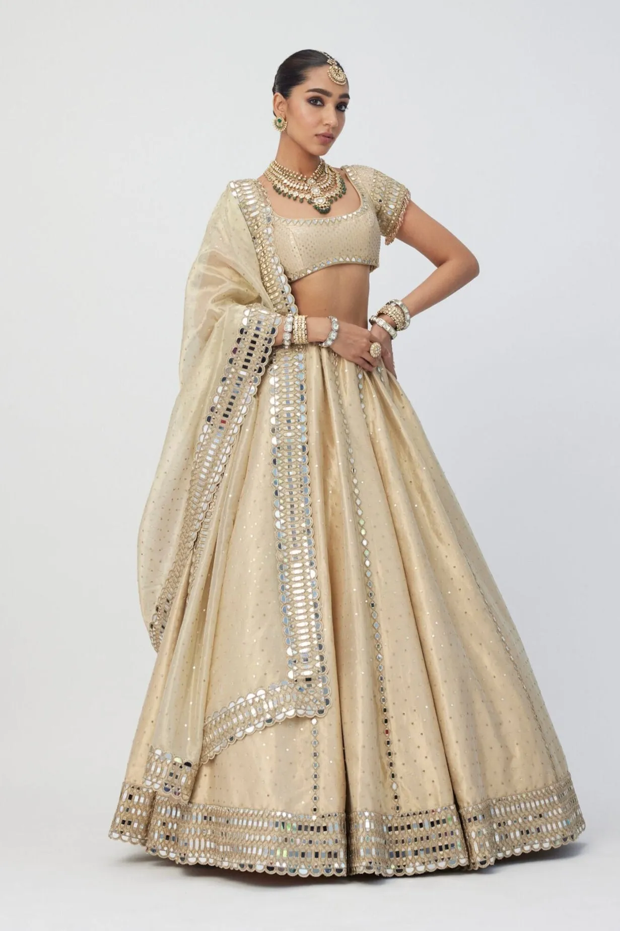 Golden Shimmer Organza Linear Lehenga Set