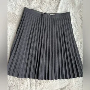 J Crew.  Grey pleated skirt.  Womens 2. NWT.