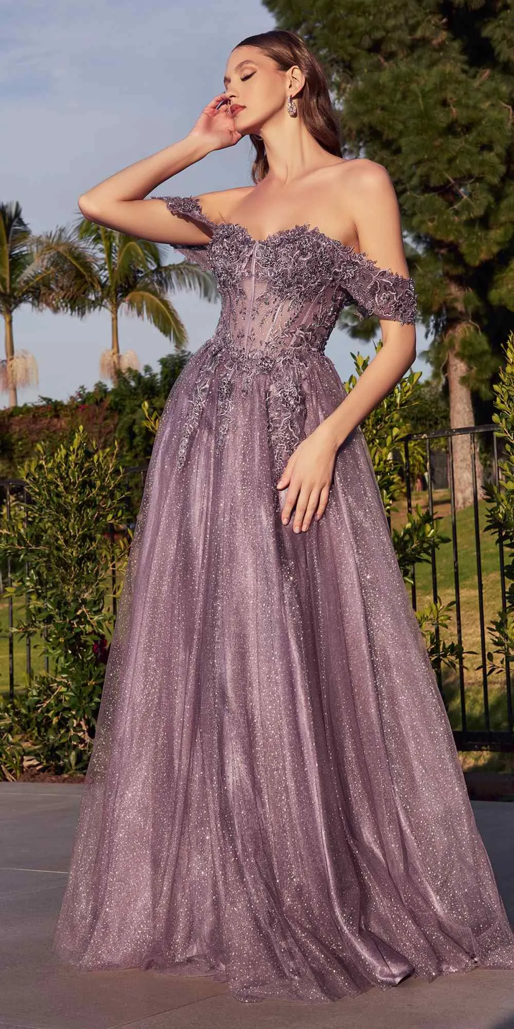 Ladivine CD0198 Long Lace A-Line Gown with Off the Shoulder Sleeves
