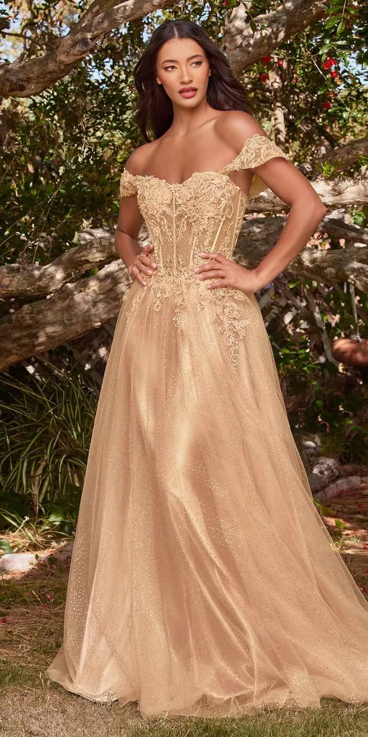 Ladivine CD0198 Long Lace A-Line Gown with Off the Shoulder Sleeves