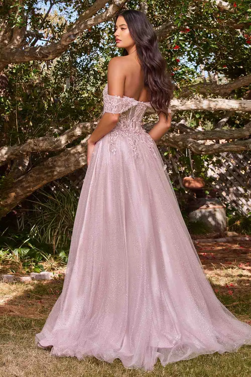 Ladivine CD0198 Long Lace A-Line Gown with Off the Shoulder Sleeves