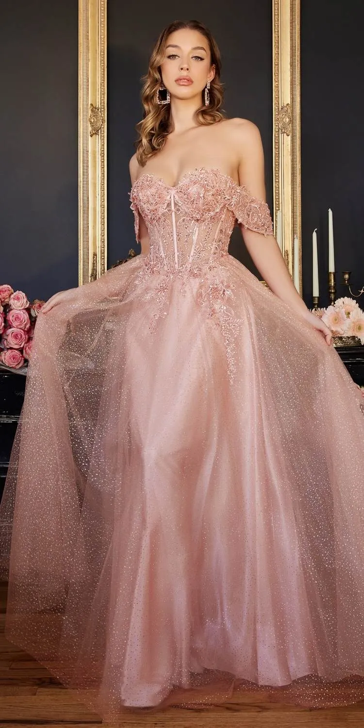 Ladivine CD0198 Long Lace A-Line Gown with Off the Shoulder Sleeves
