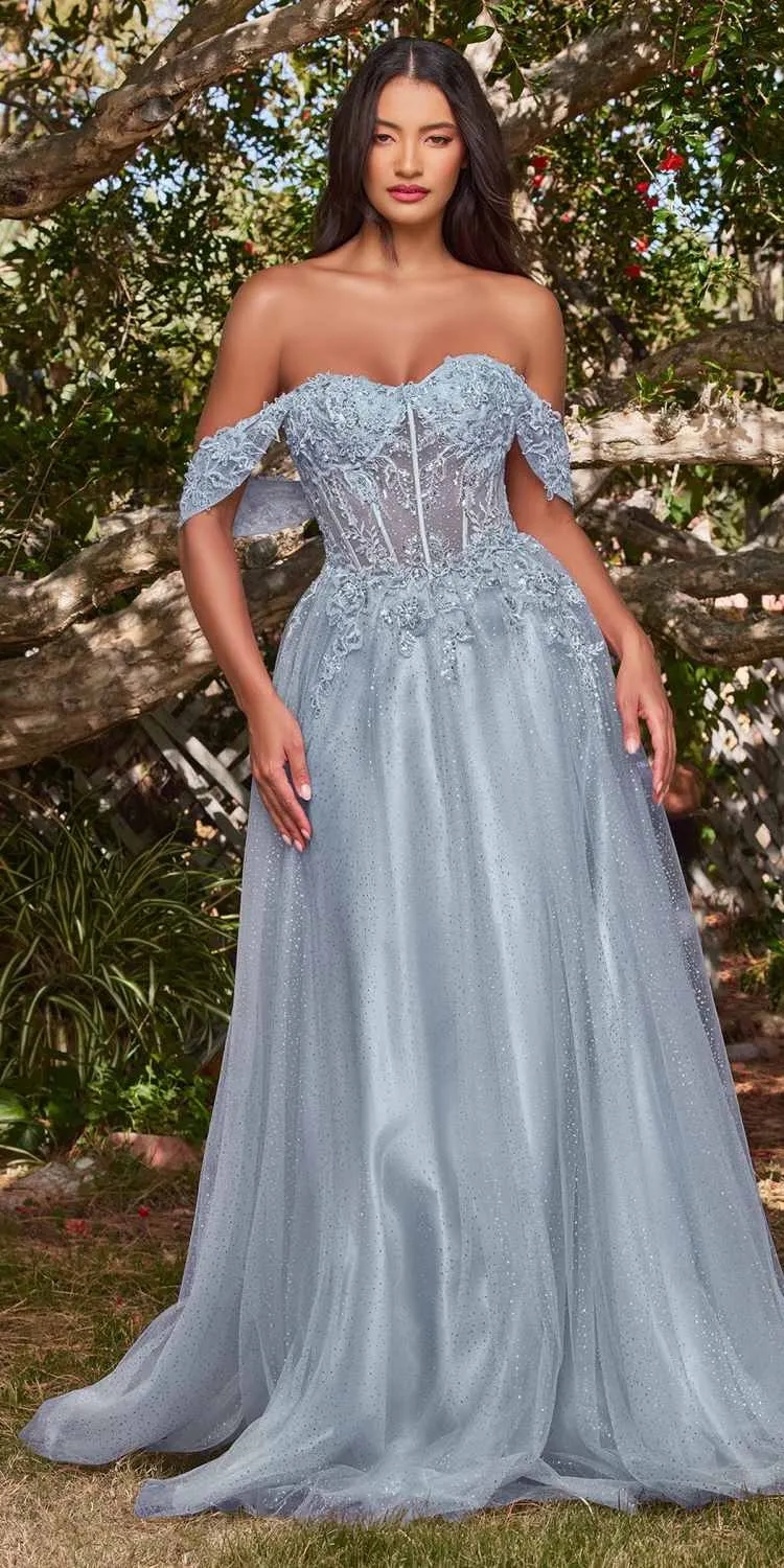 Ladivine CD0198 Long Lace A-Line Gown with Off the Shoulder Sleeves