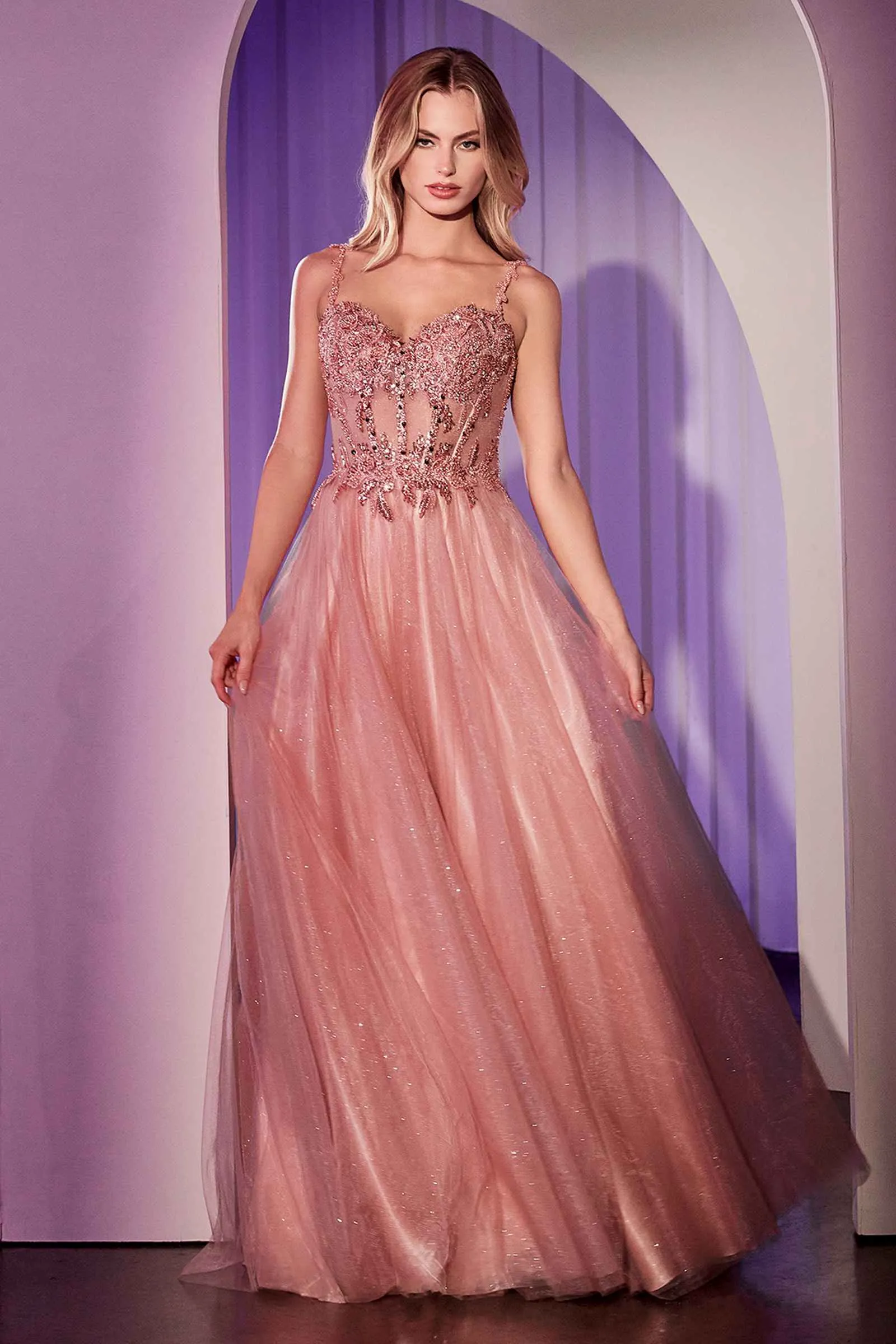 Ladivine CD0234 Long Lace and Tulle A-Line Ball Gown