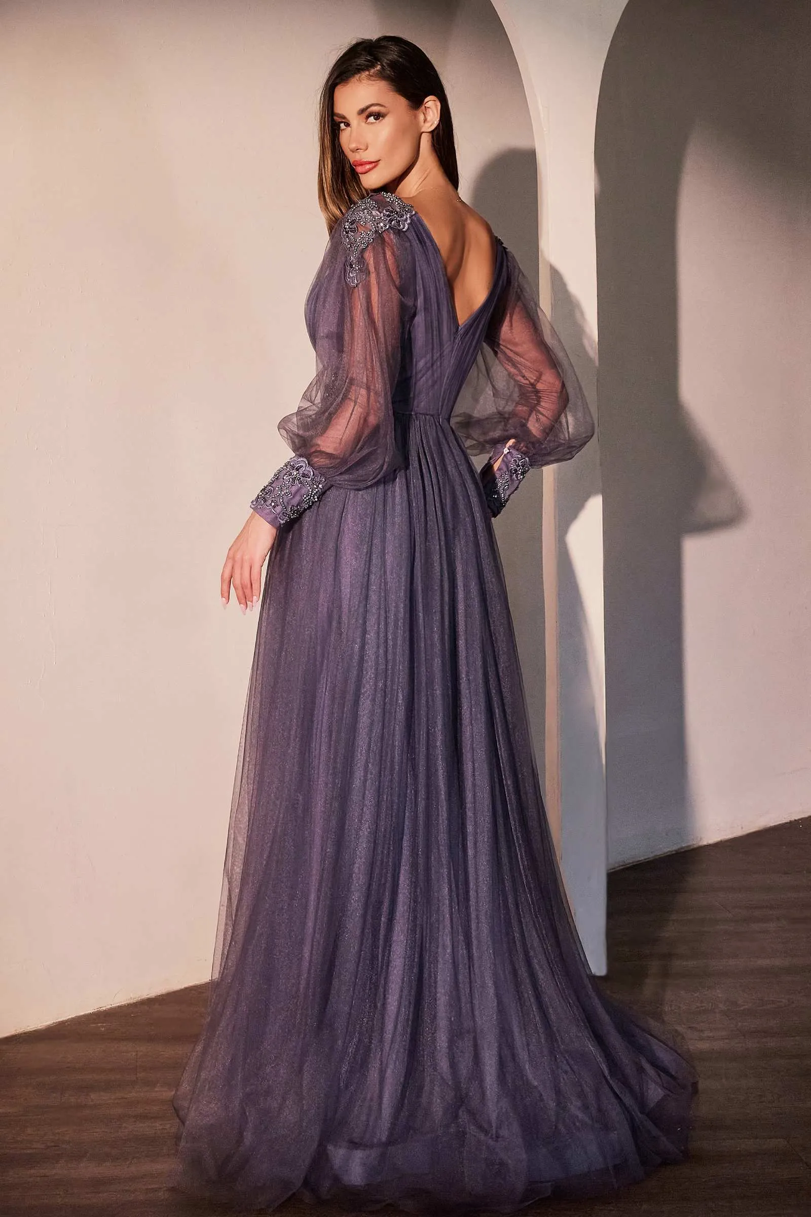 Ladivine CD0938 Long Sleeve Mother of Bride A-Line Dress