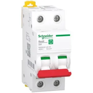 Main Switch Schneider 2P 100 Amp