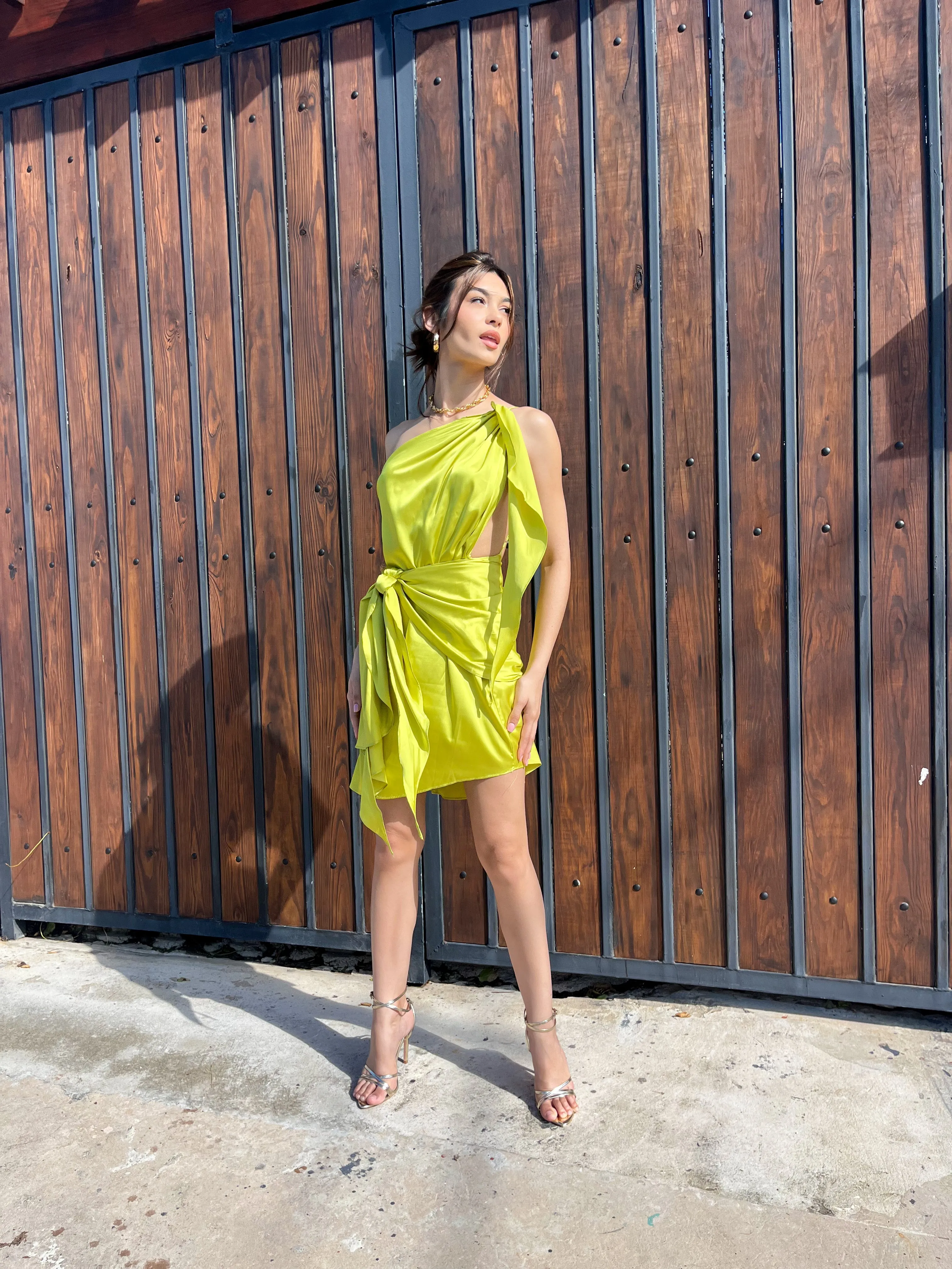 Mariana Dress