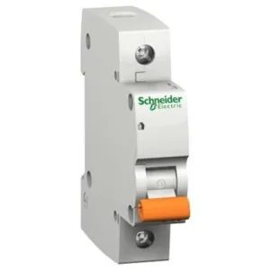 MCB Schneider 6-40 Amp 1P Domestic