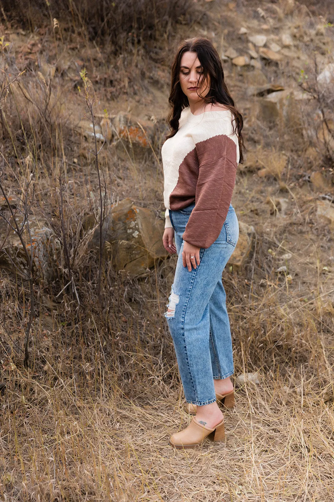 Nikki Long Sleeve Colorblock Sweater