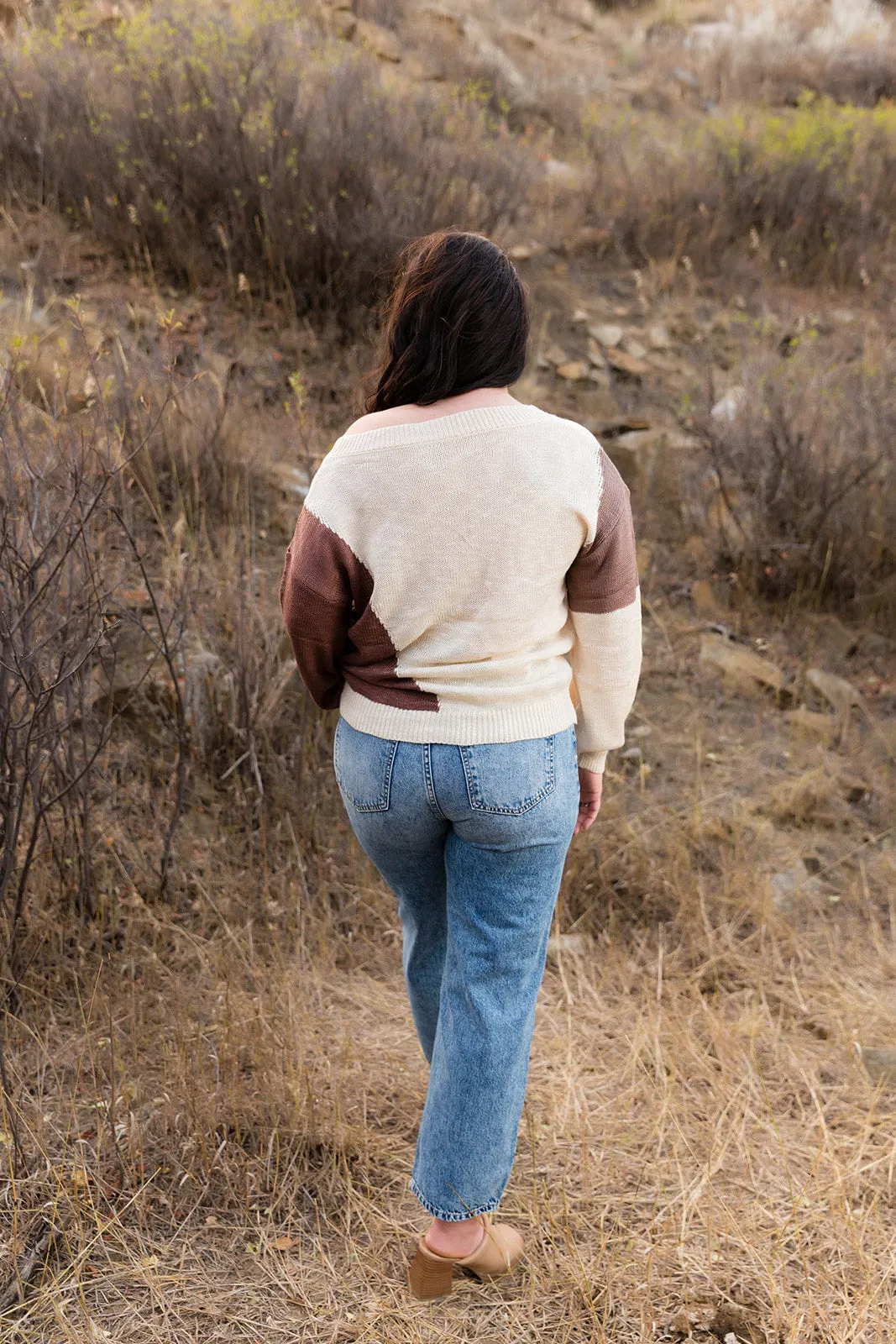 Nikki Long Sleeve Colorblock Sweater