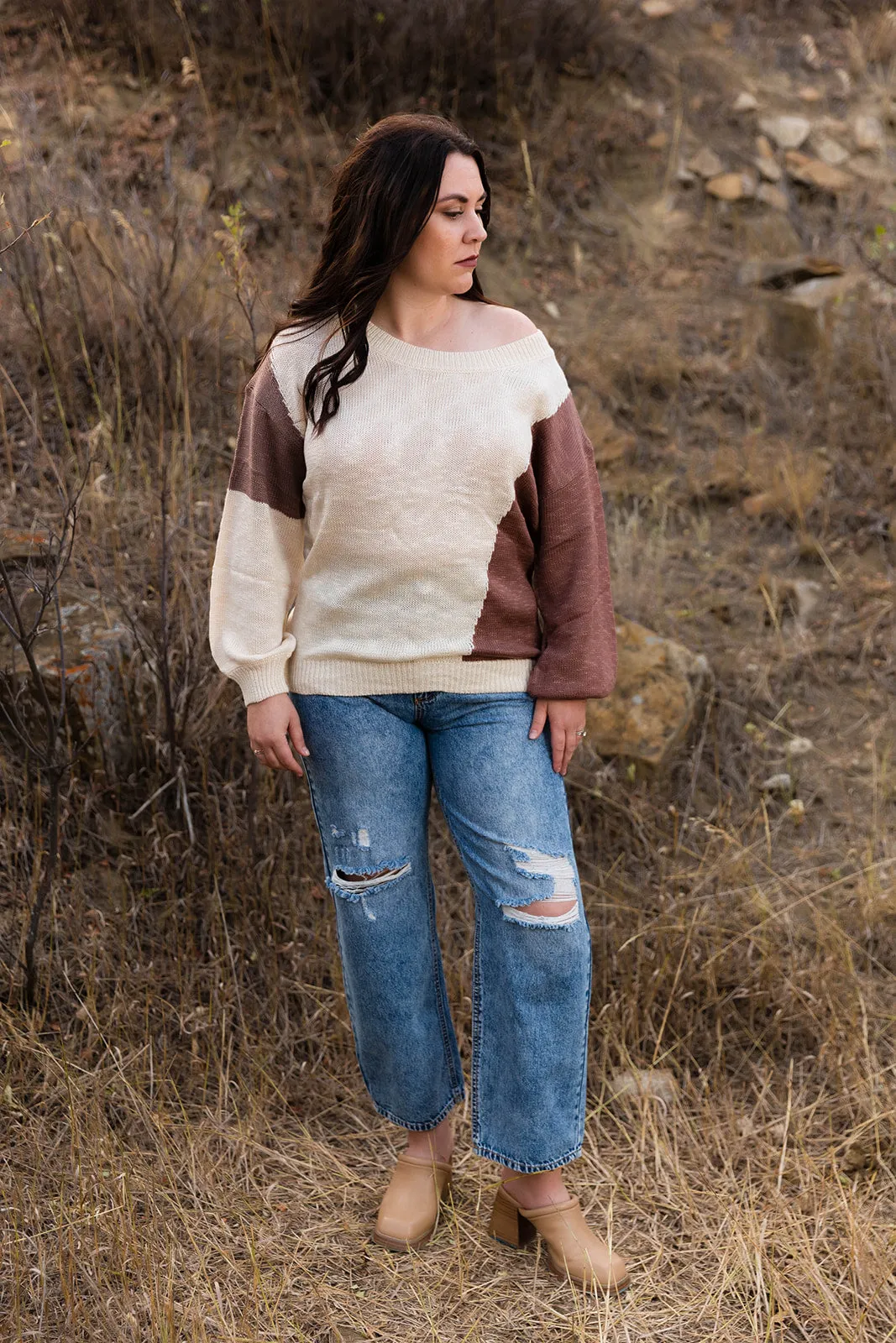 Nikki Long Sleeve Colorblock Sweater