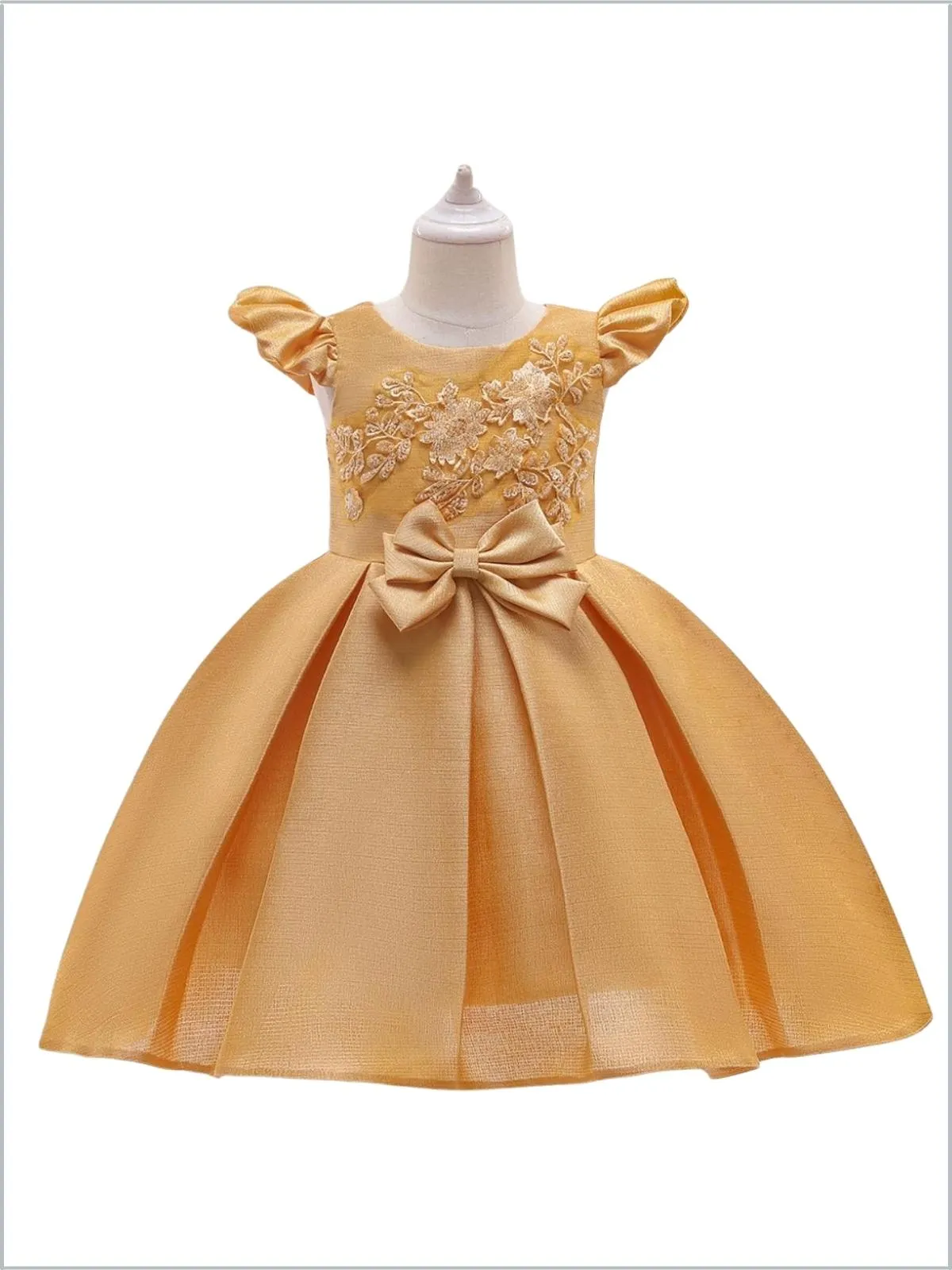 Precious Darling Embroidered Princess Dress