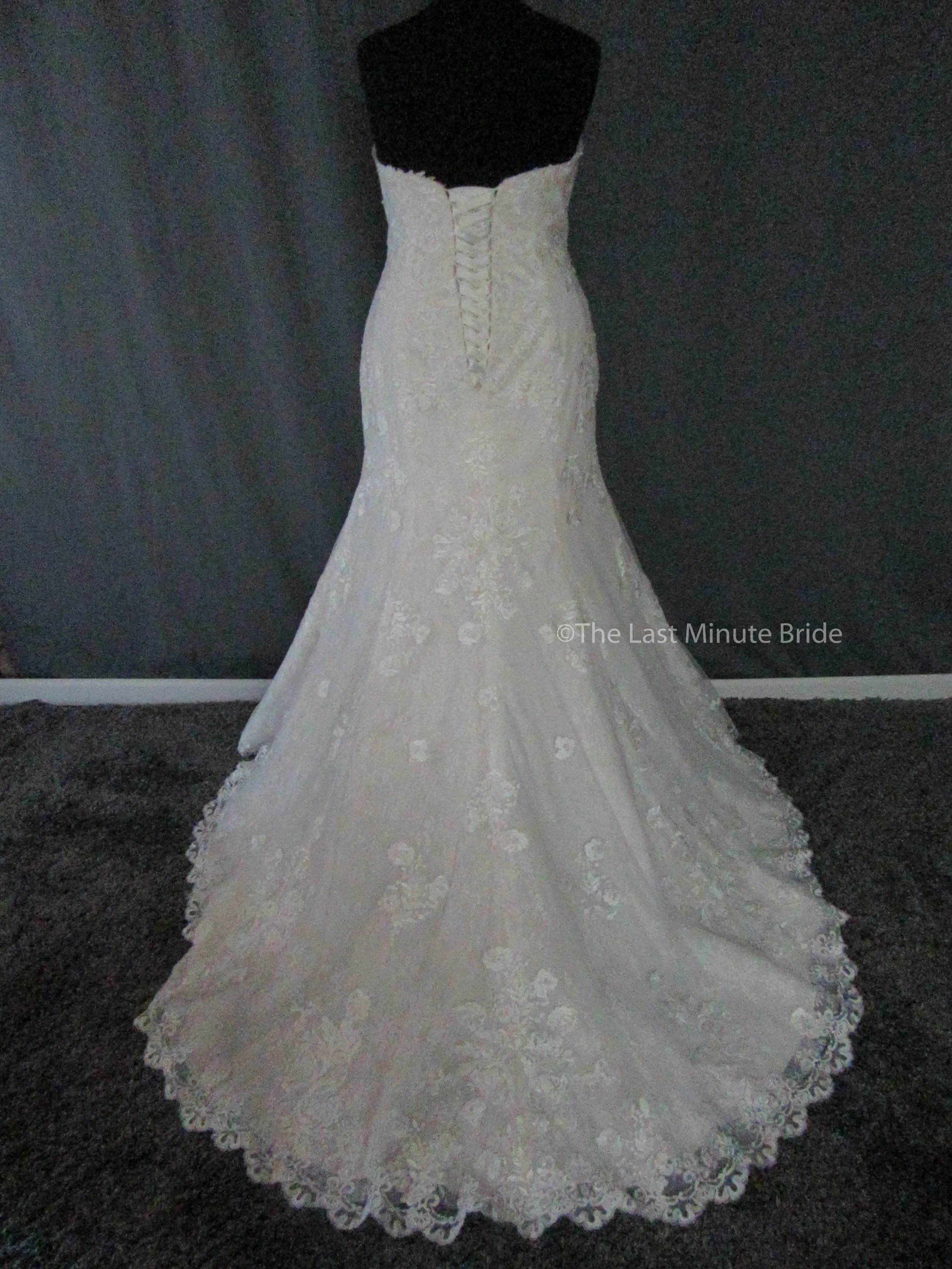 Rebecca Ingram Brenda 7RS303